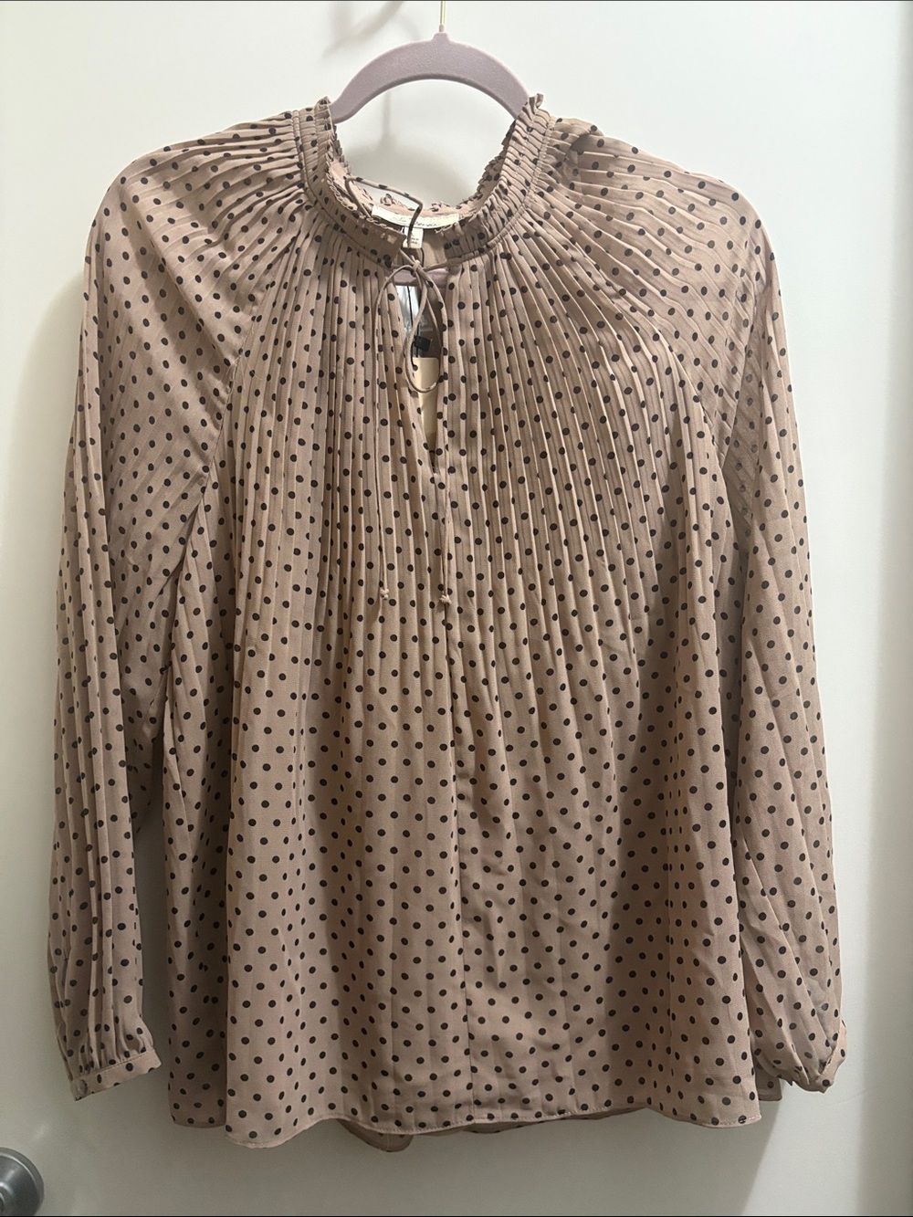 Pleated Neck Polka Dot Blouse in Beige